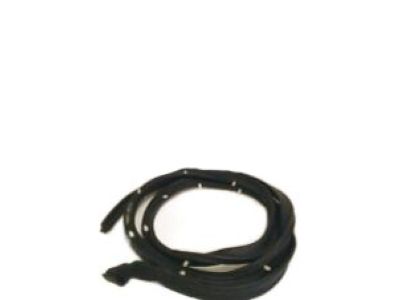 GMC S15 Jimmy Door Seal - 15623273