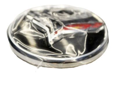GM 22782982 Center Cap, Black
