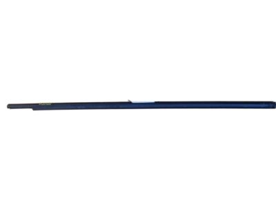 GM 24468031 Belt Molding, Front Outer Driver Side