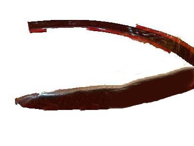 2002 GMC Sierra 2500 HD Door Moldings - 15001878