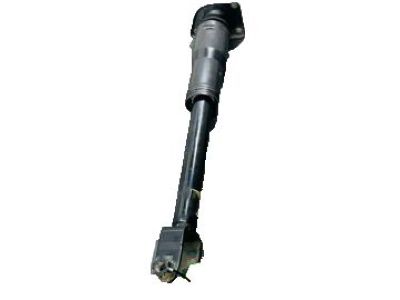 Cadillac 25884700 Shock