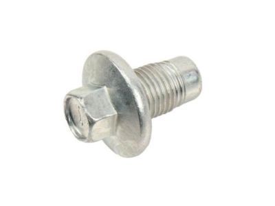 GM 11569943 Drain Plug