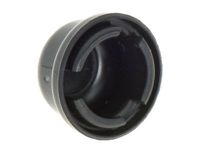 GM 22699534 Wiper Arm Cap
