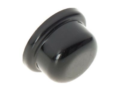GM 22699534 Wiper Arm Cap