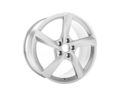 GM 19302116 Wheel, Silver