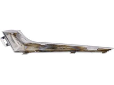 GM 23478373 Trim Molding, Driver Side