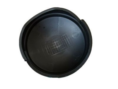 GM 22860323 Access Cover