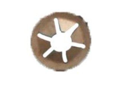 GM 10402850 Lower Baffle Retainer Nut