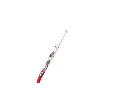 Chevy 84043875 LAMP PKG,AMBIENT LIGHTING(INCLUDES 2-11)(STRUCTURA)(INSTALL 1.50)(2.21 KGS)