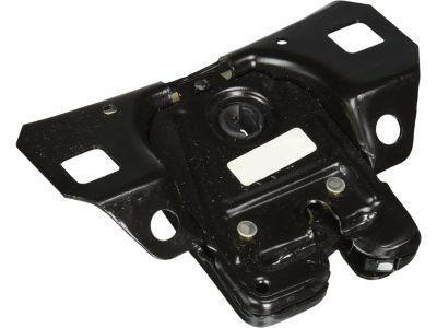 GM 20513752 Lock, Rear