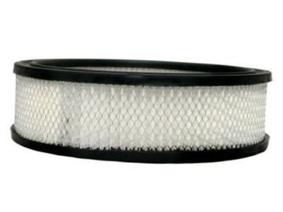 GMC S15 Jimmy Air Filter - 25040929