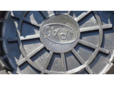 GM 9593883 Hub Cap, Black