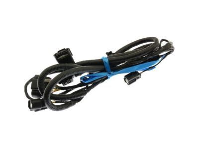 GM 42421938 Harness, Rear