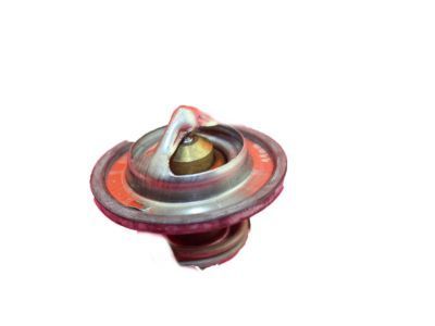 GM 24577299 Intake Manifold