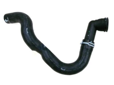 Pontiac 92252961 Lower Hose