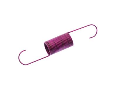 GM 15961524 Spring, Accelerator Return Spring, Inner