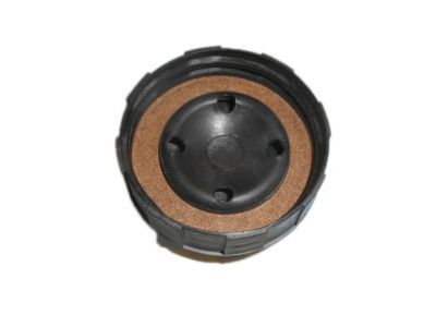 GM 25631814 Reservoir Cap