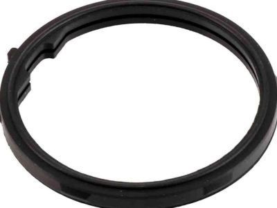 Chevy Colorado Thermostat Gasket - 12587397