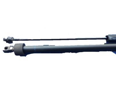 GM 10255662 Lift Cylinder, Rear Passenger Side