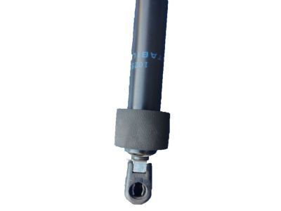 GM 10255662 Lift Cylinder, Rear Passenger Side