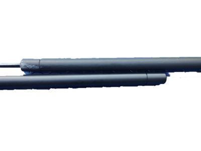 GM 10255662 Lift Cylinder, Rear Passenger Side