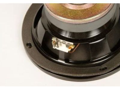GM 92095171 Rear Speaker