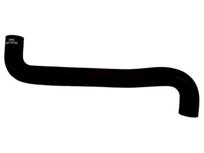 2007 Chevy Corvette Radiator Hose - 10359364