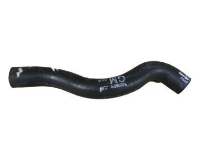 GM 10236565 Upper Hose