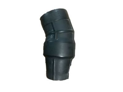 GM 15155711 Lower Seal