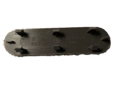 GM 22640167 Plug, Front