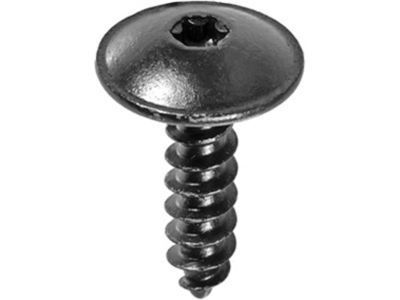 GM 13144822 Shutter Bolt