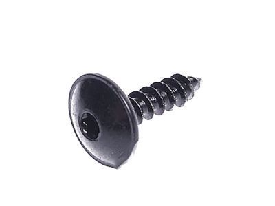 GM 13144822 Shutter Bolt