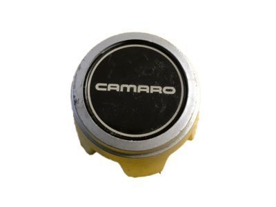 GM 14091960 Center Cap