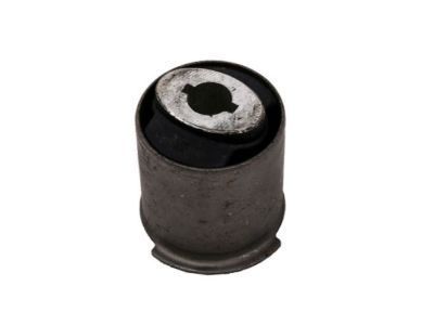 GM 19121910 Carrier Housing Bushing, Rear