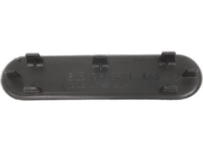 GM 10279471 Pull Handle Plug, Front