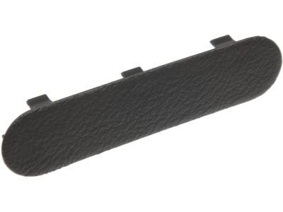 GM 10279471 Pull Handle Plug, Front