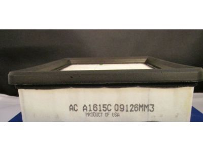 GM 24577608 Air Filter