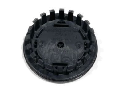 GM 9598732 Center Cap, Black
