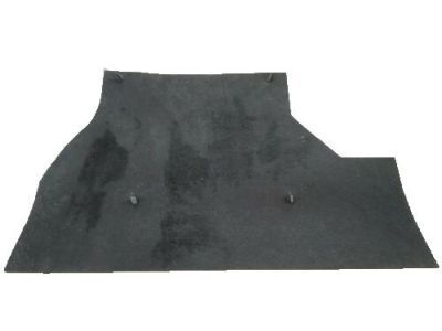 GM 15034805 Baffle, Driver Side