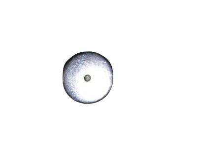 Hummer 12572717 PCV Valve