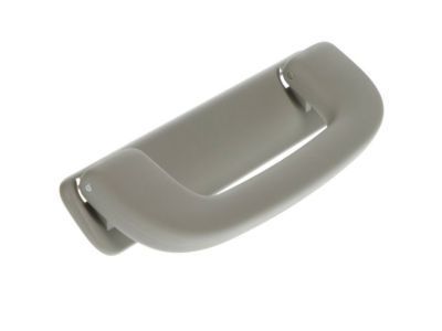 GM 15134376 Grip Handle