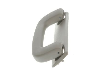 GM 15134376 Grip Handle