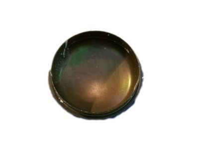 GM 23203672 Grease Cap, Front