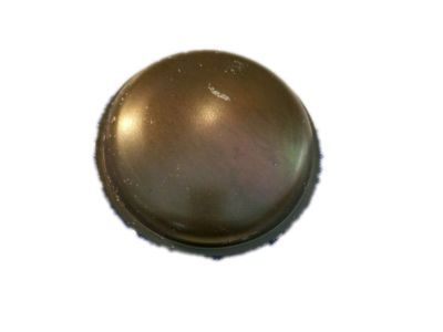 GM 23203672 Grease Cap, Front