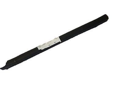Chevy Express 3500 Weather Strip - 22790770