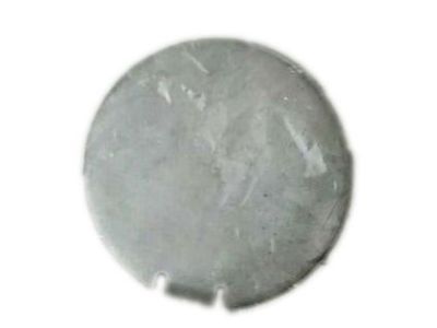 Chevy Brake Dust Shields - 92199863