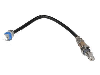 GM 19209808 Oxygen Sensor
