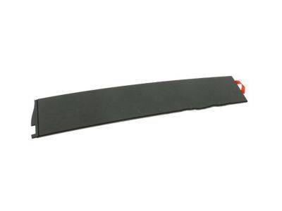 GM 84263144 Applique, Front Driver Side