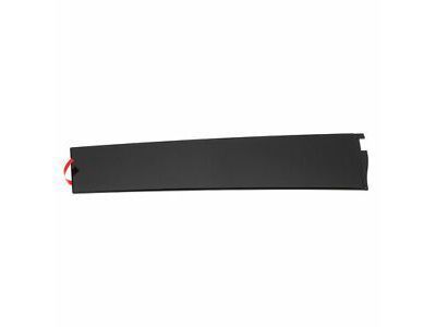 GM 84263144 Applique, Front Driver Side