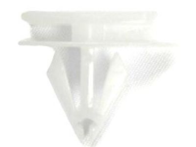 GM 10323057 Rocker Molding Retainer